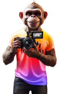 47