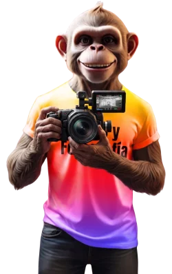 47